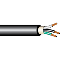 Armoured Copper Cable, AC90 12/2 AWG 600V PB Rental Co. Ltd.