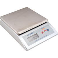 Platform Scale, 2000 g Capacity PB Rental Co. Ltd.