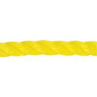 Corde jaune tress&eacute;e 1/2", Polypropyl&egrave;ne, 335' PB Rental Co. Ltd.