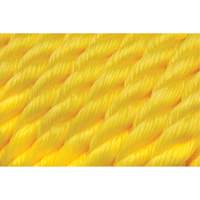 Corde jaune tress&eacute;e, Polypropyl&egrave;ne, 300' PB Rental Co. Ltd.