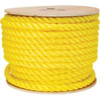 Corde jaune tress&eacute;e, Polypropyl&egrave;ne, 144' PB Rental Co. Ltd.