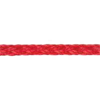 Corde rouge tress&eacute;e, Polypropyl&egrave;ne, 500' PB Rental Co. Ltd.
