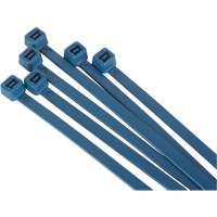 Attache-c&acirc;bles d&eacute;tectables par d&eacute;tecteur de m&eacute;taux, 6" lo, R&eacute;sistance &agrave; la traction 120 lb PB Rental Co. Ltd.