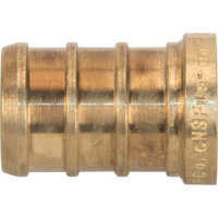 Capuchon de tuyau sans plomb, Tuyau, 1/2" dia., Laiton PB Rental Co. Ltd.