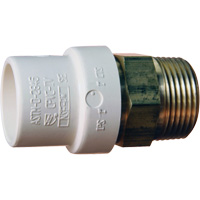 Adaptateur de tuyau filet&eacute;, Noeud x MPT, 1" dia., Laiton/PVC-C PB Rental Co. Ltd.