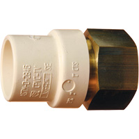 Adaptateur de tuyau filet&eacute;, Noeud x FPT, 1" dia., Laiton/PVC-C PB Rental Co. Ltd.