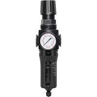 Filtre/r&eacute;gulateur drain manuel avec bol en m&eacute;tal Modulair 300, 1/4" NPT, 250 PSI, Capacit&eacute; de 5,1 oz liq. PB Rental Co. Ltd.