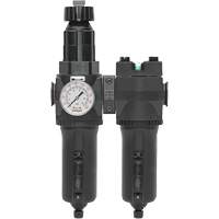 Filtre/r&eacute;gulateur + filtre coalescent drain manuel avec bol en m&eacute;tal Modulair 400, 1/4" NPT, 200 psi, Capacit&eacute; de 9,1 oz liq. PB Rental Co. Ltd.