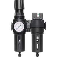 Filtre/d&eacute;tendeur & filtre coalescent Modulair 300 avec bol standard & drain manuel, 3/8" NPTF, 150 psi, Capacit&eacute; de 5,12 oz liq PB Rental Co. Ltd.