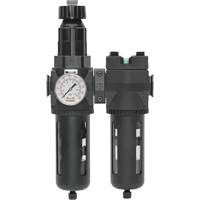 Filtre/d&eacute;tendeur & filtre coalescent Modulair 400 avec bol standard & drain manuel, 3/4" NPTF, 150 psi, Capacit&eacute; de 9,13 oz liq. PB Rental Co. Ltd.