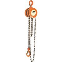 Chain Hoist, 10' Lift, 1000 lbs. (0.5 tons) Capacity, Steel Chain PB Rental Co. Ltd.