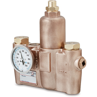 Vannes de m&eacute;lange thermostatiques, 19,5 gal./min PB Rental Co. Ltd.
