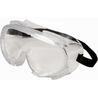Encompass Safety Goggles, Clear Lens, Anti-Fog, Indirect Vent PB Rental Co. Ltd.