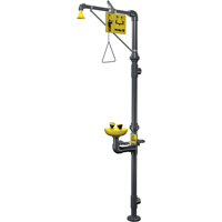 Corrosion-Resistant Emergency Shower & Eye/Face Wash Station PB Rental Co. Ltd.