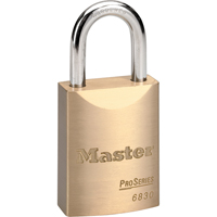 ProSeries&reg; Padlock, Silver, Keyed Different, Brass Coating, 1-9/16" Width PB Rental Co. Ltd.