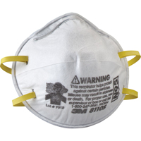8110S Particulate Respirators, N95, NIOSH Certified, Small PB Rental Co. Ltd.