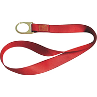 Sangles PointGuardpour raccord d'ancrage, Anneau en D, Usage Temporaire PB Rental Co. Ltd.