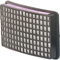 Protection respiratoire Speedglas - Filtres et cartouches de recharge, Filtre P100, Paquet de 2 PB Rental Co. Ltd.