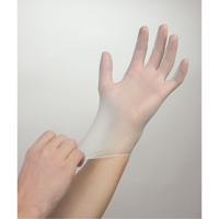Gants jetables, Petit, Vinyle, 4 mils, Sans poudre, Blanc PB Rental Co. Ltd.