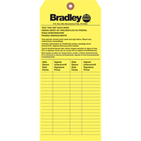 Inspection Tag, Paper, 3-6/8" W x 5-7/8" H, English PB Rental Co. Ltd.