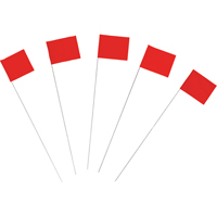 Drapeaux de marquage PB Rental Co. Ltd.
