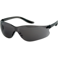 Z500 Series Safety Glasses, Grey/Smoke Lens, Anti-Scratch, ANSI Z87+/Meets/Exceeds CSA Z94.3 PB Rental Co. Ltd.