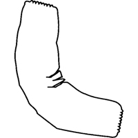 Manchettes, Longueur de 18", Tyvek 400, Blanc PB Rental Co. Ltd.