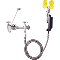 Faucet & Eyewash Station, Sink Mount Installation PB Rental Co. Ltd.