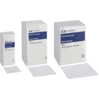 Gauze Sponges, Pad, 2" L x 2" W, Medical Device Class 1 PB Rental Co. Ltd.