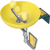 Eye/Face Wash Station, Wall-Mount Installation, Plastic Bowl PB Rental Co. Ltd.