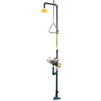 Safe-T-Zone&reg; Combination Shower & Eye/Face Wash PB Rental Co. Ltd.
