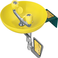 Eyewash Station, Wall-Mount Installation, Plastic Bowl PB Rental Co. Ltd.
