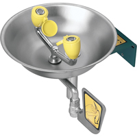 Eyewash Station, Wall-Mount Installation, Stainless Steel Bowl PB Rental Co. Ltd.
