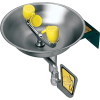 Eye/Face Wash Station, Wall-Mount Installation, Stainless Steel Bowl PB Rental Co. Ltd.