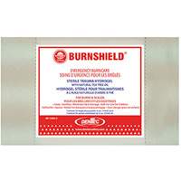 Burnfree&reg; BurngelTM, Gel, Class 2 PB Rental Co. Ltd.