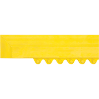 Border Ramp for Matting PB Rental Co. Ltd.