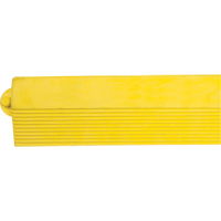 Border Ramp for Matting PB Rental Co. Ltd.