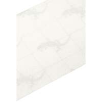 Ruban antid&eacute;rapant de premi&egrave;re qualit&eacute;, 4" x 60', Transparent PB Rental Co. Ltd.