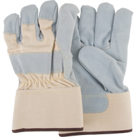 Leather Cut-Resistant Gloves, Size X-Large/10, 10 Gauge, HPPE Shell, ASTM ANSI Level A6/EN 388 Level F PB Rental Co. Ltd.