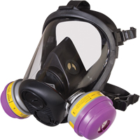 Respirateur &agrave; masque complet de s&eacute;rie RU6500 de North, Silicone, Petit PB Rental Co. Ltd.