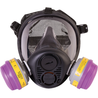 Respirateur &agrave; masque complet de s&eacute;rie RU6500 de North, Silicone, Petit PB Rental Co. Ltd.