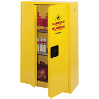 Safety Cabinets