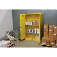 Flammable Storage Cabinet, 45 gal., 2 Door, 43" W x 65" H x 18" D PB Rental Co. Ltd.