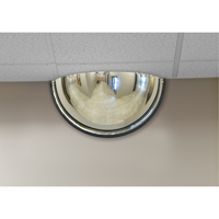 180° Dome Mirror, Half Dome, Closed Top, 18" Diameter PB Rental Co. Ltd.