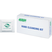 Hand Cleansing Moist Wipes, Towelette PB Rental Co. Ltd.