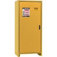 30-Minute EN Safety Storage Cabinet, 30 gal., 1 Door, 34.02" W x 76.65" H x 24.21" D PB Rental Co. Ltd.