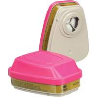 Cartouches pour respirateur s&eacute;rie 6000, Cartouche gaz/vapeur, Gaz multiples/Vapeurs/P100 PB Rental Co. Ltd.