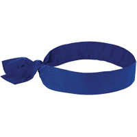 Chill-its&reg; 6700 Cooling Bandanas, Blue PB Rental Co. Ltd.