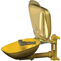 Halo Eyewash Stations, Wall-Mount Installation, Plastic Bowl PB Rental Co. Ltd.