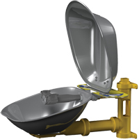 Halo Eyewash Stations, Wall-Mount Installation, Stainless Steel Bowl PB Rental Co. Ltd.
